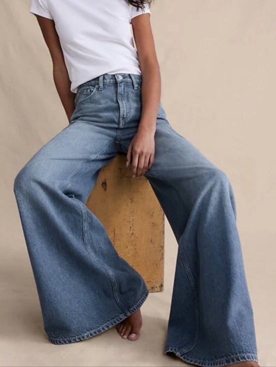 Zara Denim - NWOT ZARA Woman | Iconic Wide Leg Palazzo Jeans - Sz 6